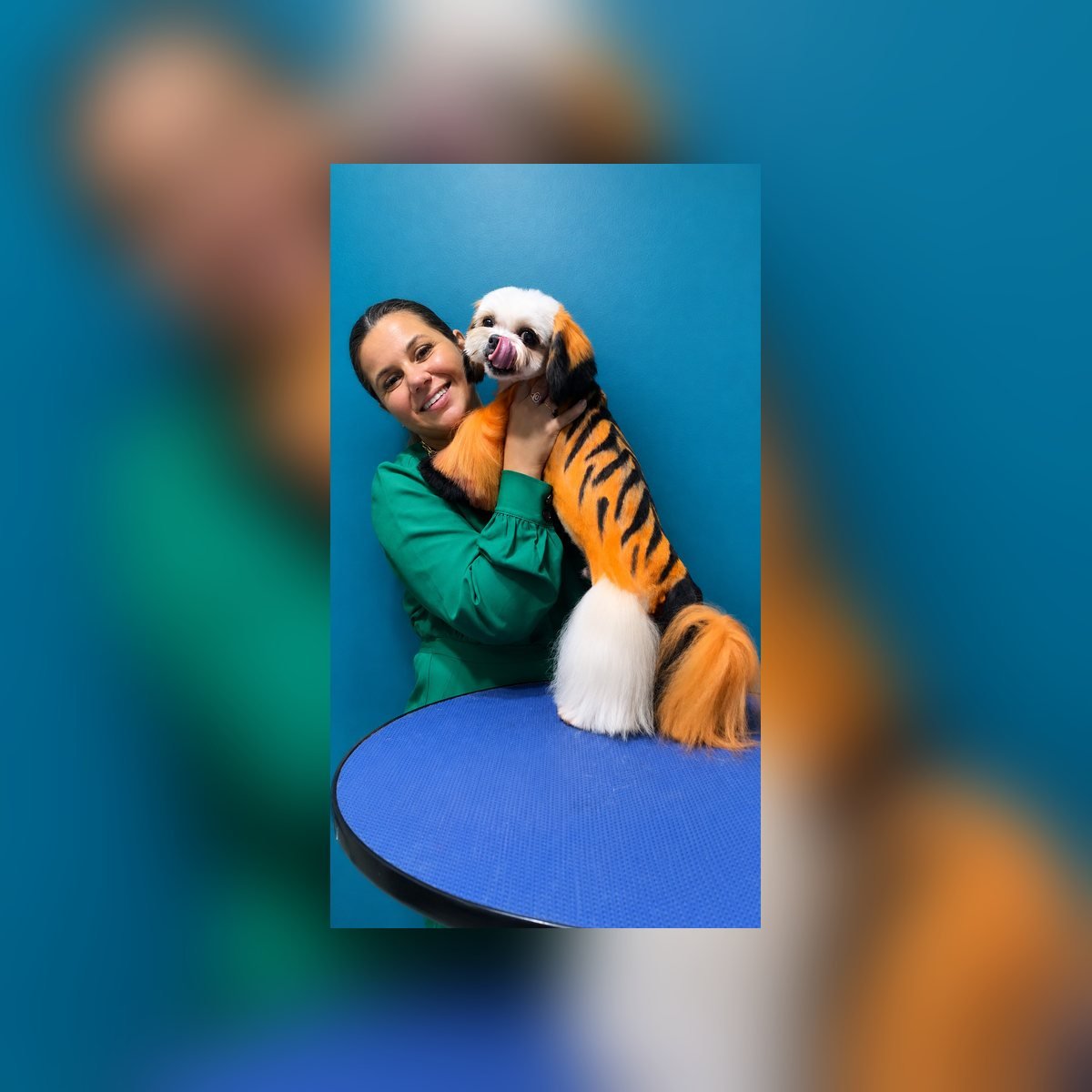 Cão com creative grooming de tigre feito pela Daiana Soares