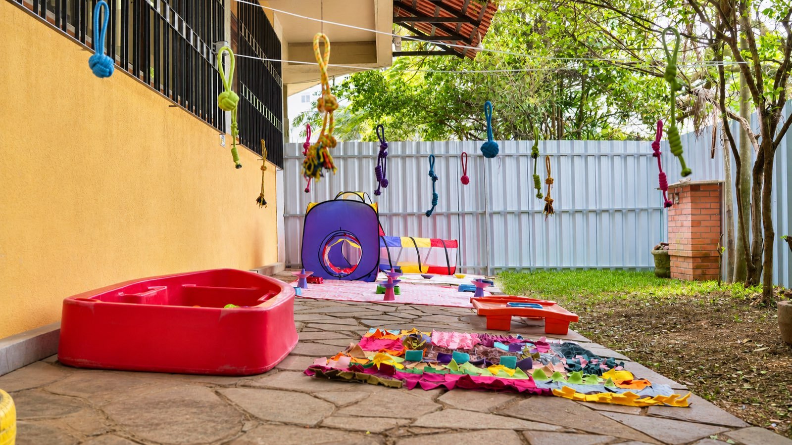 Pátio da frente da creche da Thor Pet Spa, com brinquedos de corda pendurados, tapete de faro, túnel e piscina